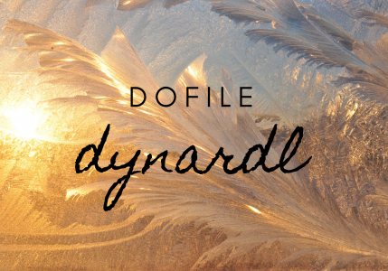 Dofile ước lượng mô hình DYNARDL